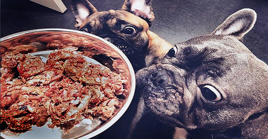 Choosing Natural Dog Food for Your Pet? Know the Vital Considerations