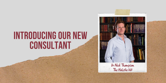 Introducing our new consultant