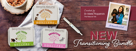 Benyfit Natural Transition Guide & Bundle by Dr Adele Fitzpatrick - The Natural Vet