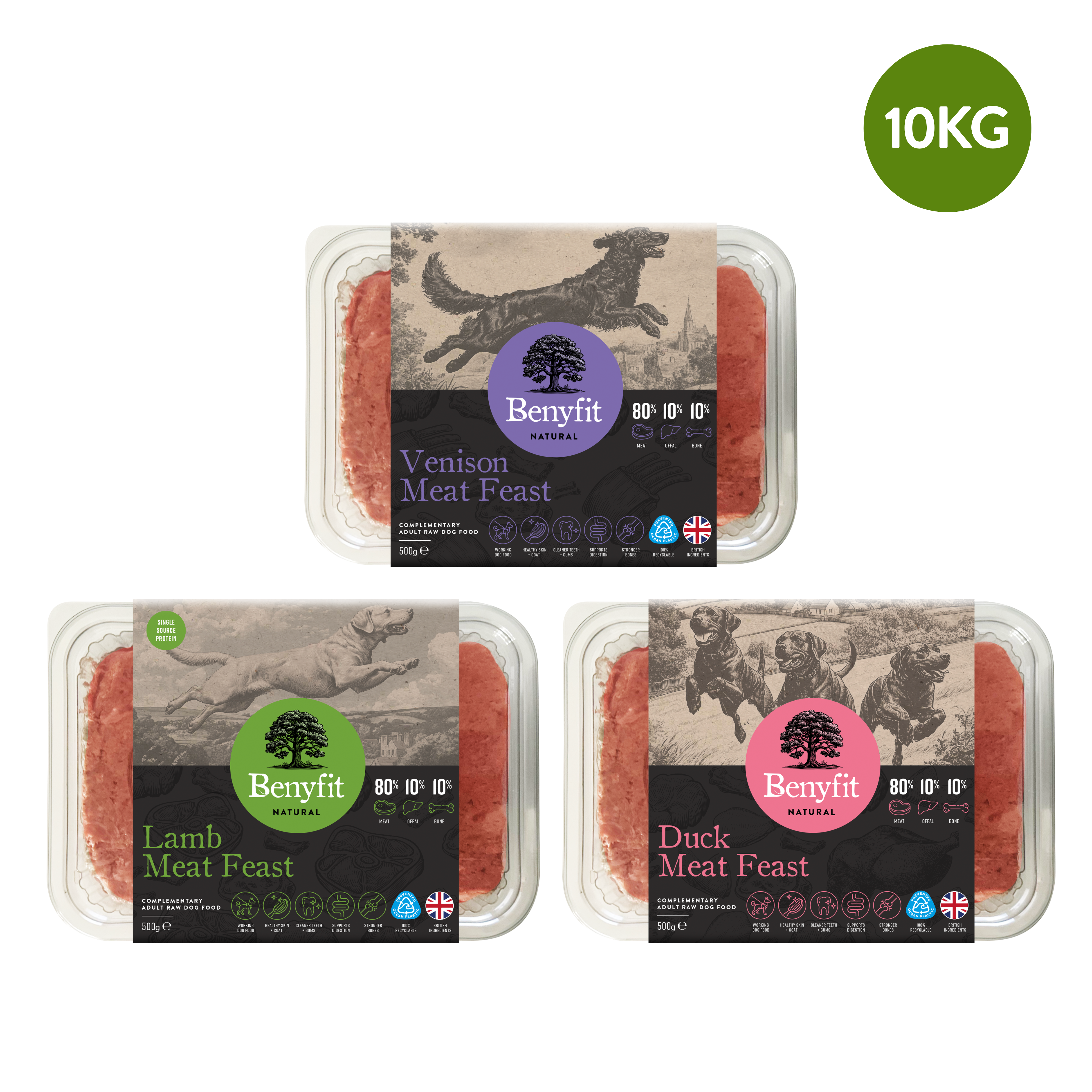 Novel Protein Raw Dog Food Bundle Benyfit Natural