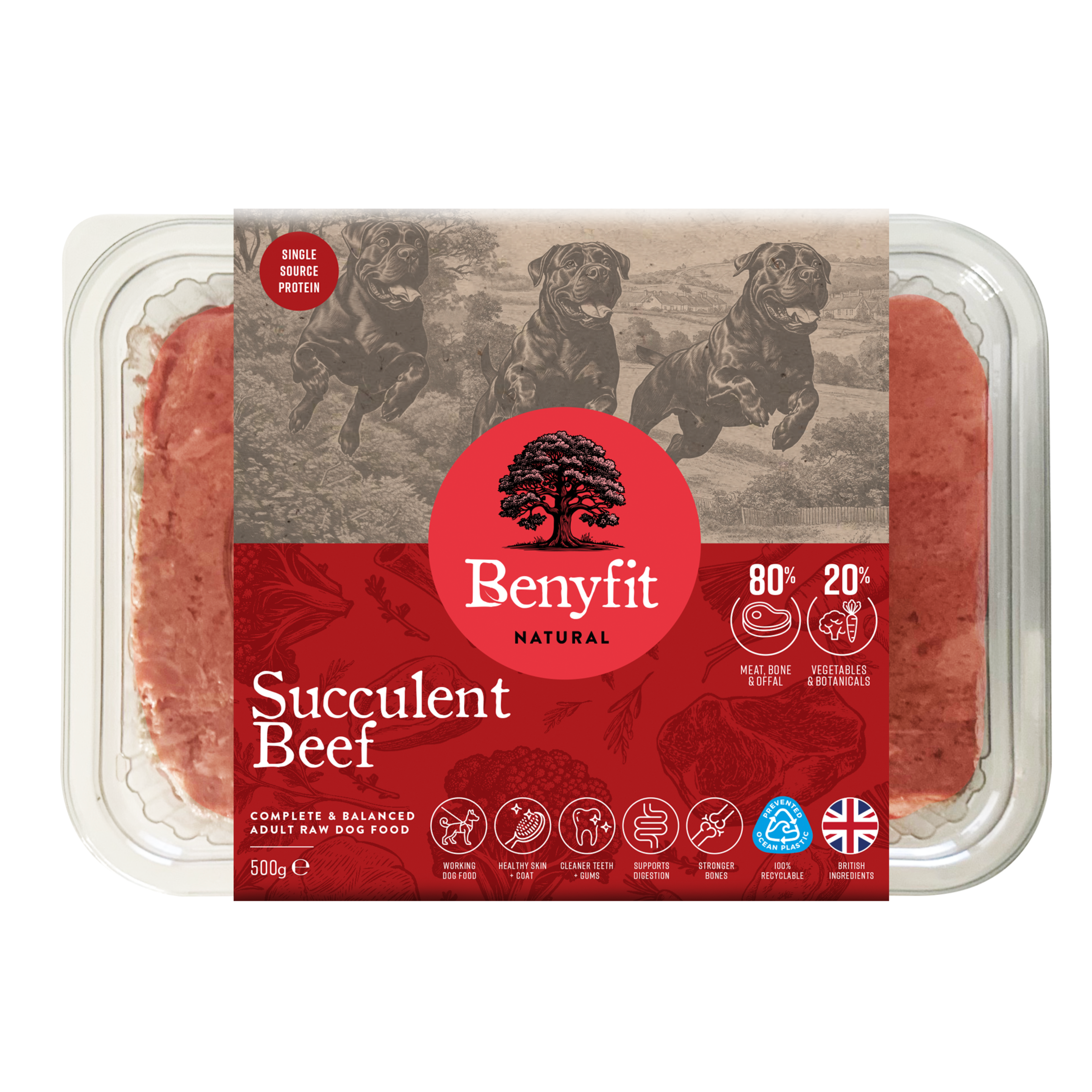 succulent meat Beef Complete Raw Dog Food - Single Protein