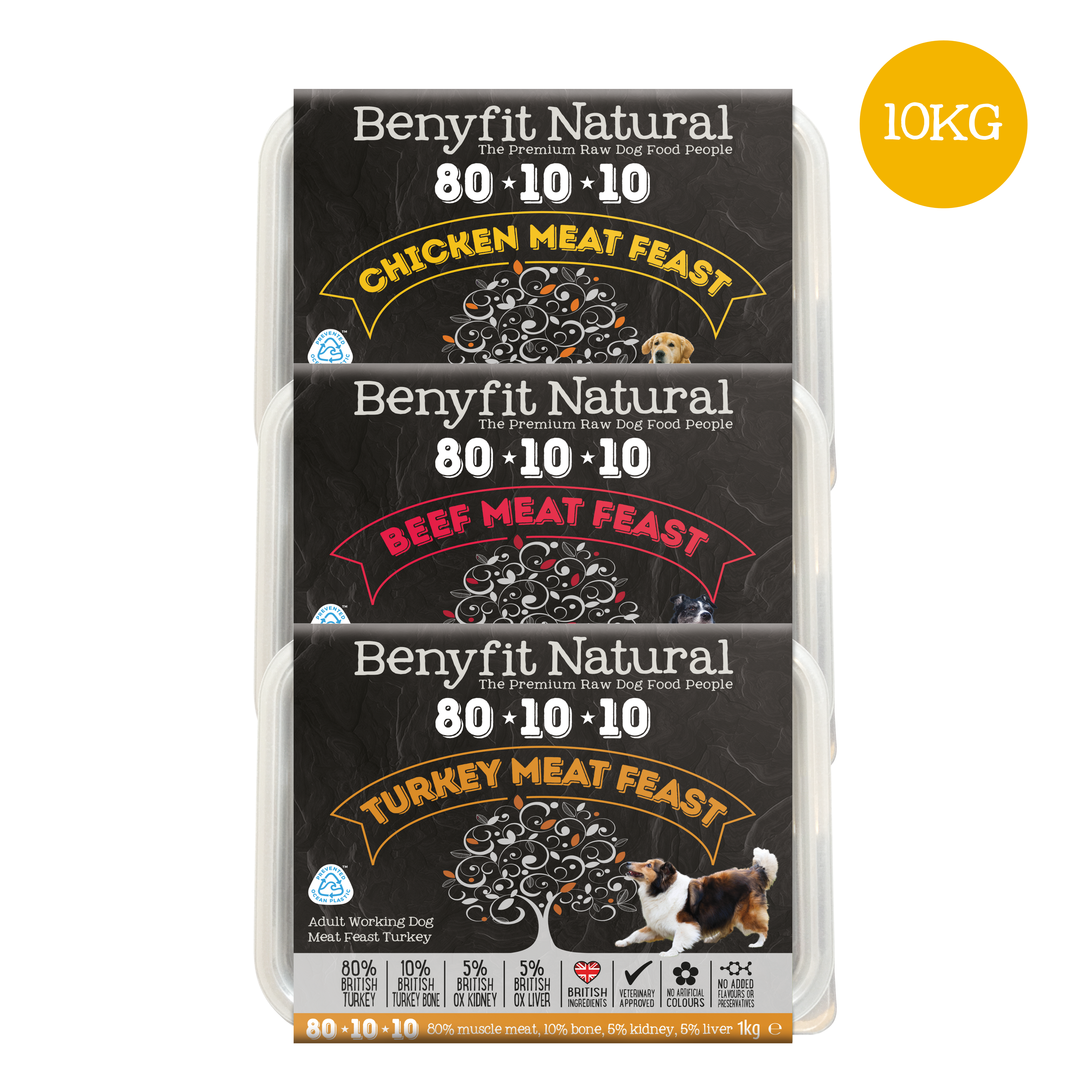 80 10 10 Variety Raw Dog Food Bundle