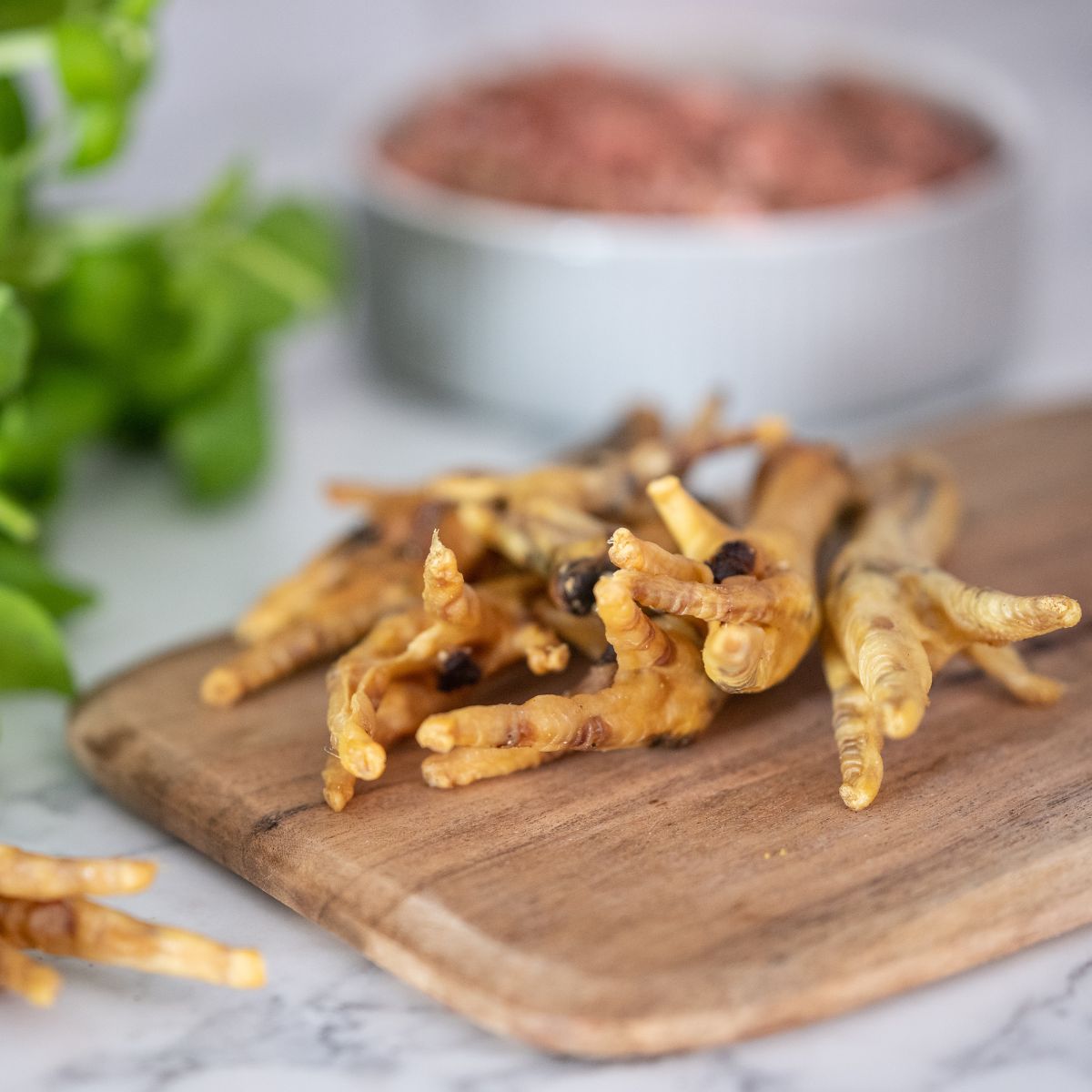 Chicken Feet for Dogs Natural Dog Chews Benyfit Natural