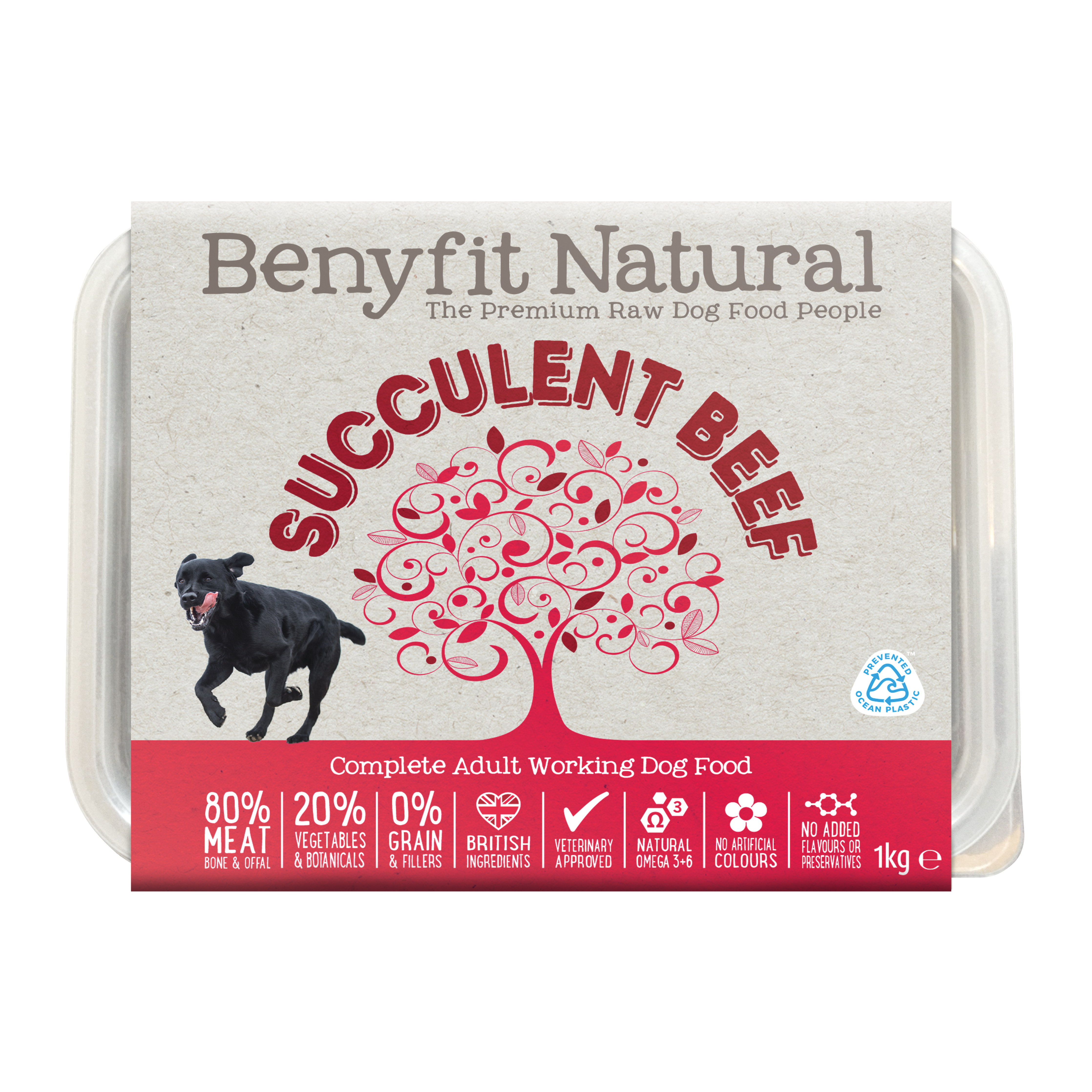 Benyfit raw 2025 dog food