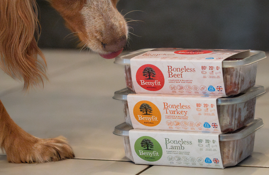 Why Feed Boneless Raw Dog Food?