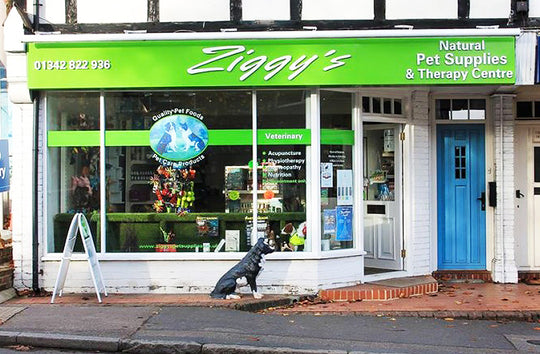 Ziggys Pet Supplies and Holistic Vets Forest Row East Sussex