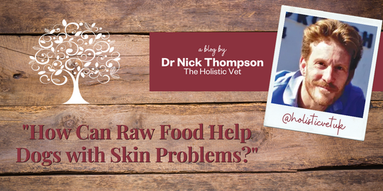 How Can Raw Food Help Dogs with Skin Problems?