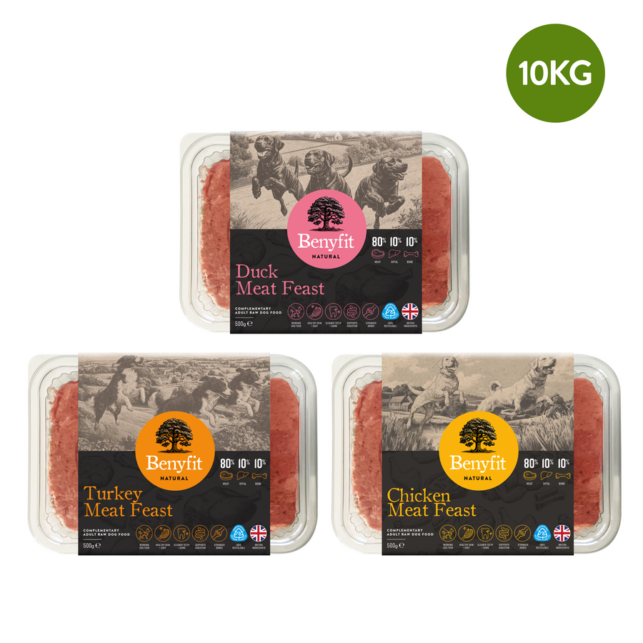 80-10-10 Poultry Raw Dog Food Bundle