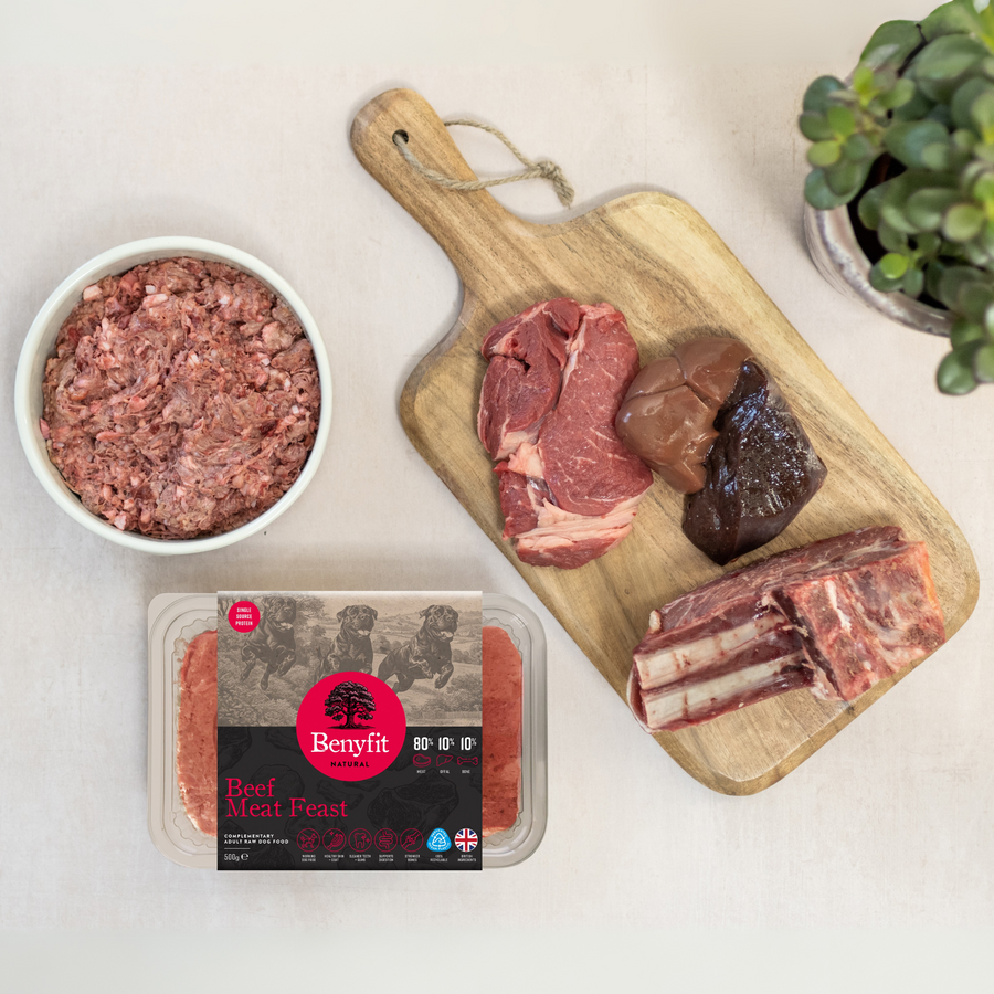 beef meat feast raw dog food single protein with beef meat, beef bone, beef offal, veg free and grain free