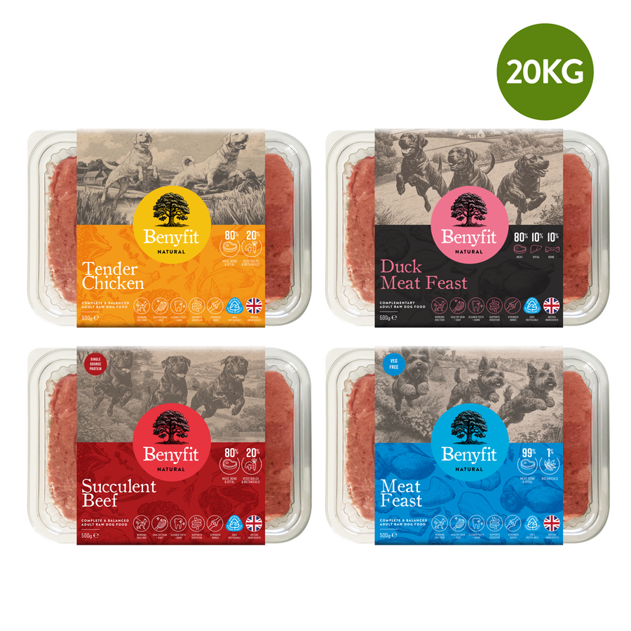 Big Dog Raw Dog Food Bundle