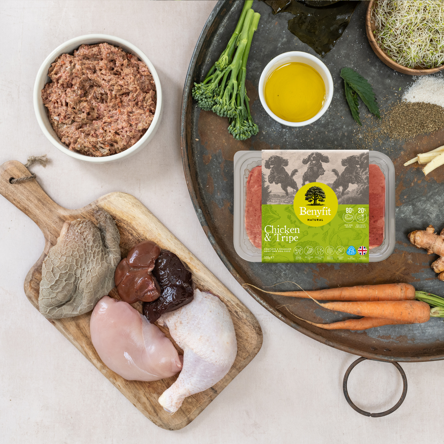 Raw Chicken Dog Food Recipe Kibble In The Raw Dog Food – Chicken