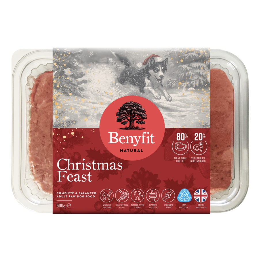 Christmas Feast Raw Dog Food