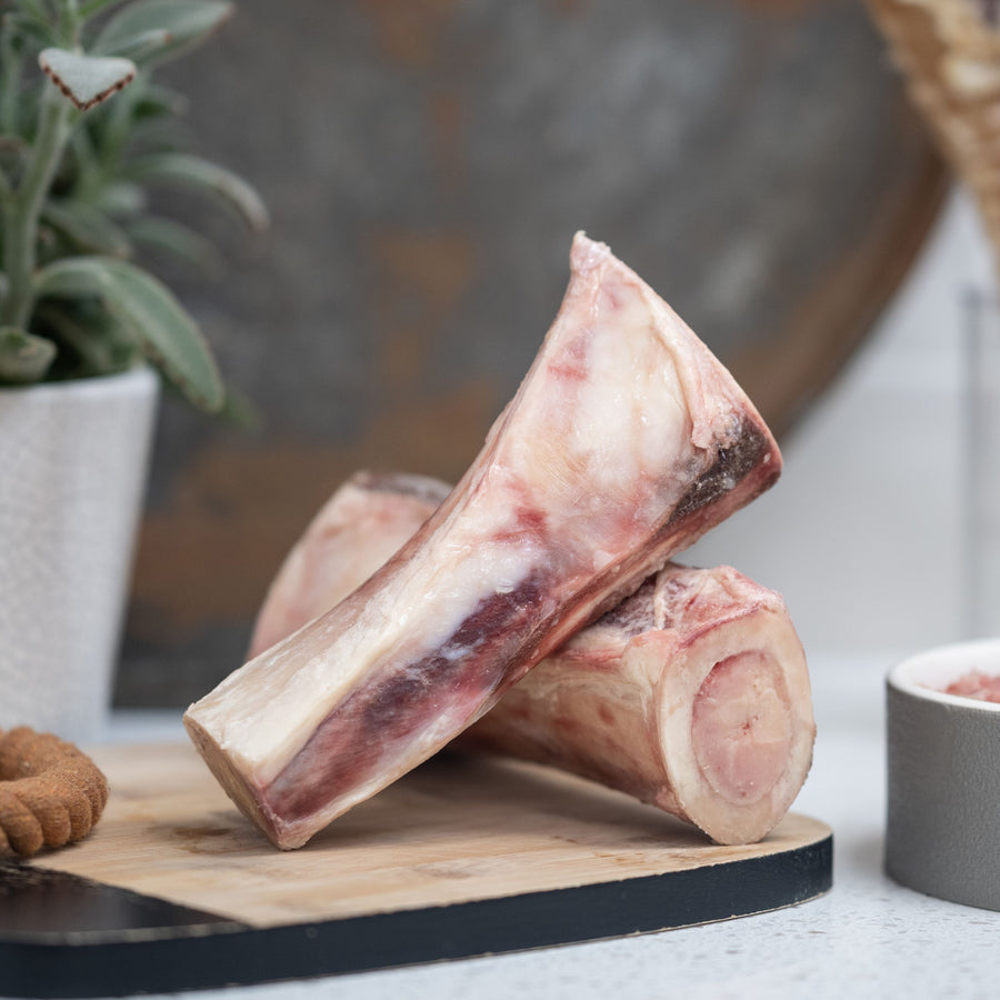 Beef Marrow Bone Bundle 20 Raw Bones Benyfit Natural