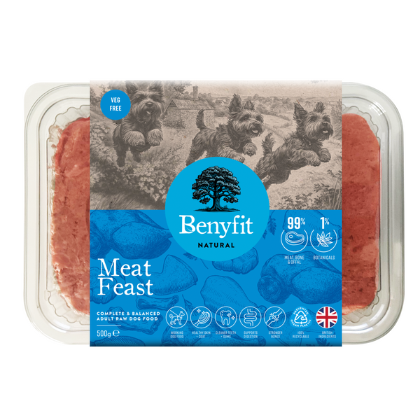 Veg Free Complete Raw Dog Food - Meat Feast | Benyfit Natural