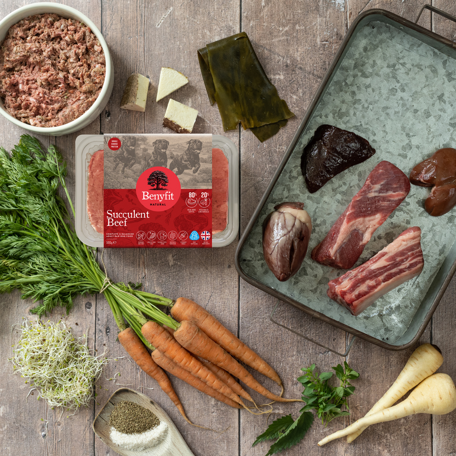 succulent beef Beef Complete Raw Dog Food - Single Protein