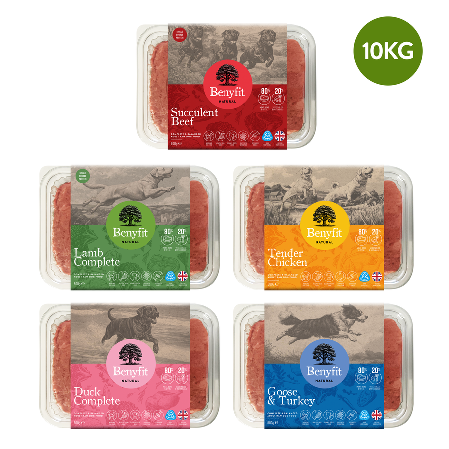 Raw Food Tasting Bundle