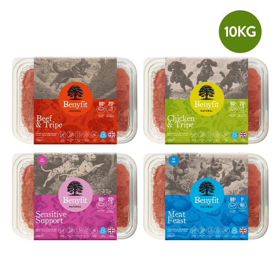 tripe raw dog food bundle with chicken, beef, turkey raw dog food benyfit natural