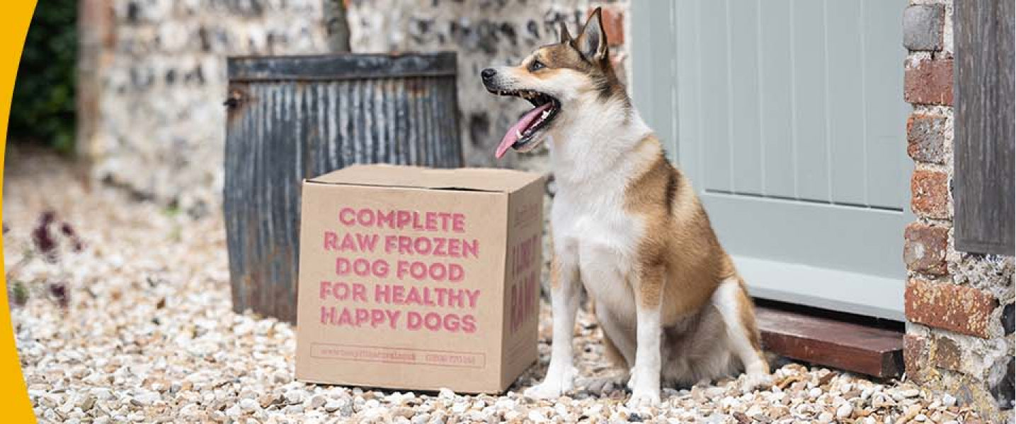 Tripe Raw Dog Food + Treats