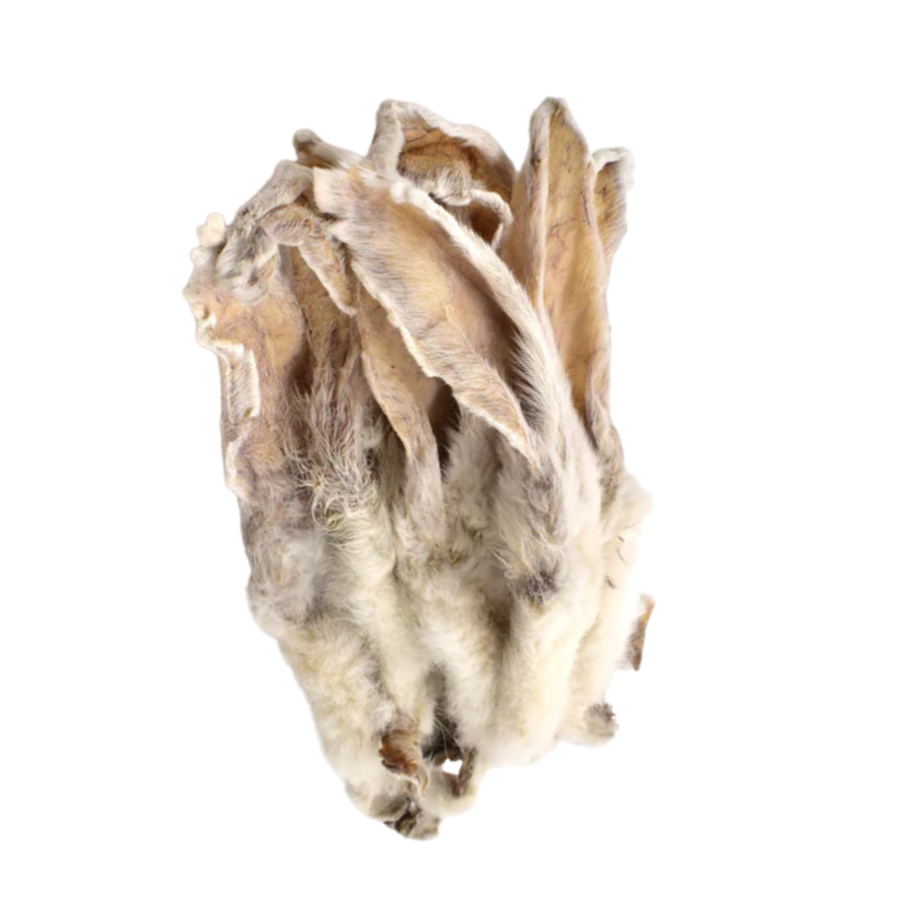 Rabbit Ears with Fur