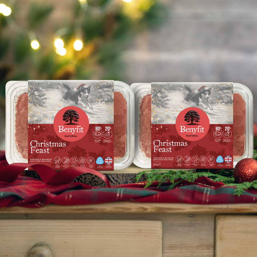Christmas Feast Raw Dog Food