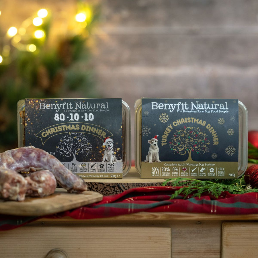 Christmas Variety Raw Dog Food Bundle