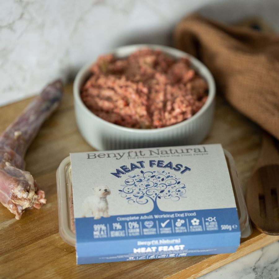 Meat Feast raw dog food turkey complete raw food lifestyle image